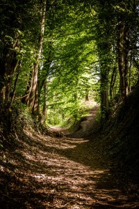 Weg, Weiterentwicklung