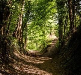 Weg, Weiterentwicklung