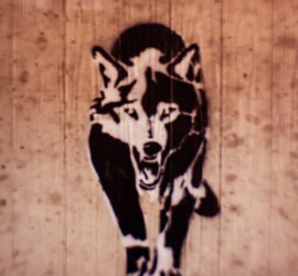 Welchen Wolf fütterst Du?