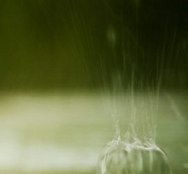 Wasser